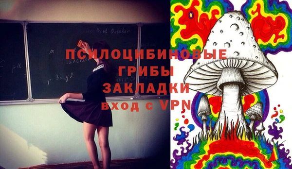 молекула духа Балахна