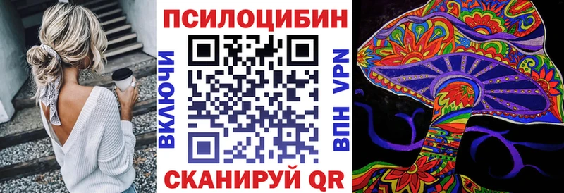 Псилоцибиновые грибы Cubensis Ногинск